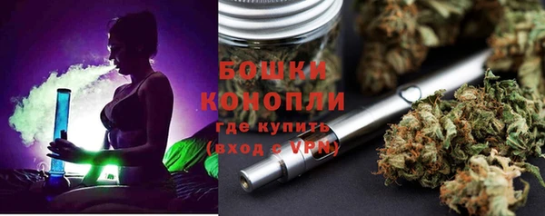 MESCALINE Осинники