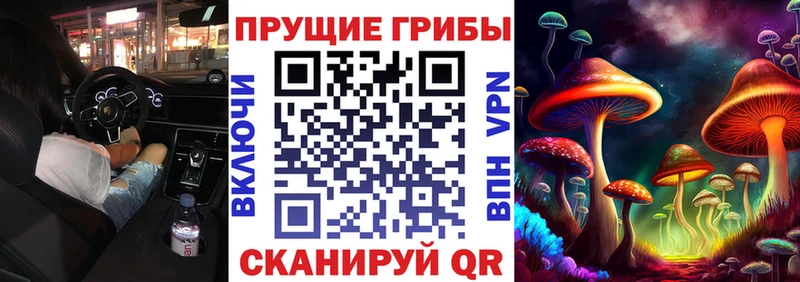 Псилоцибиновые грибы прущие грибы  Трубчевск 